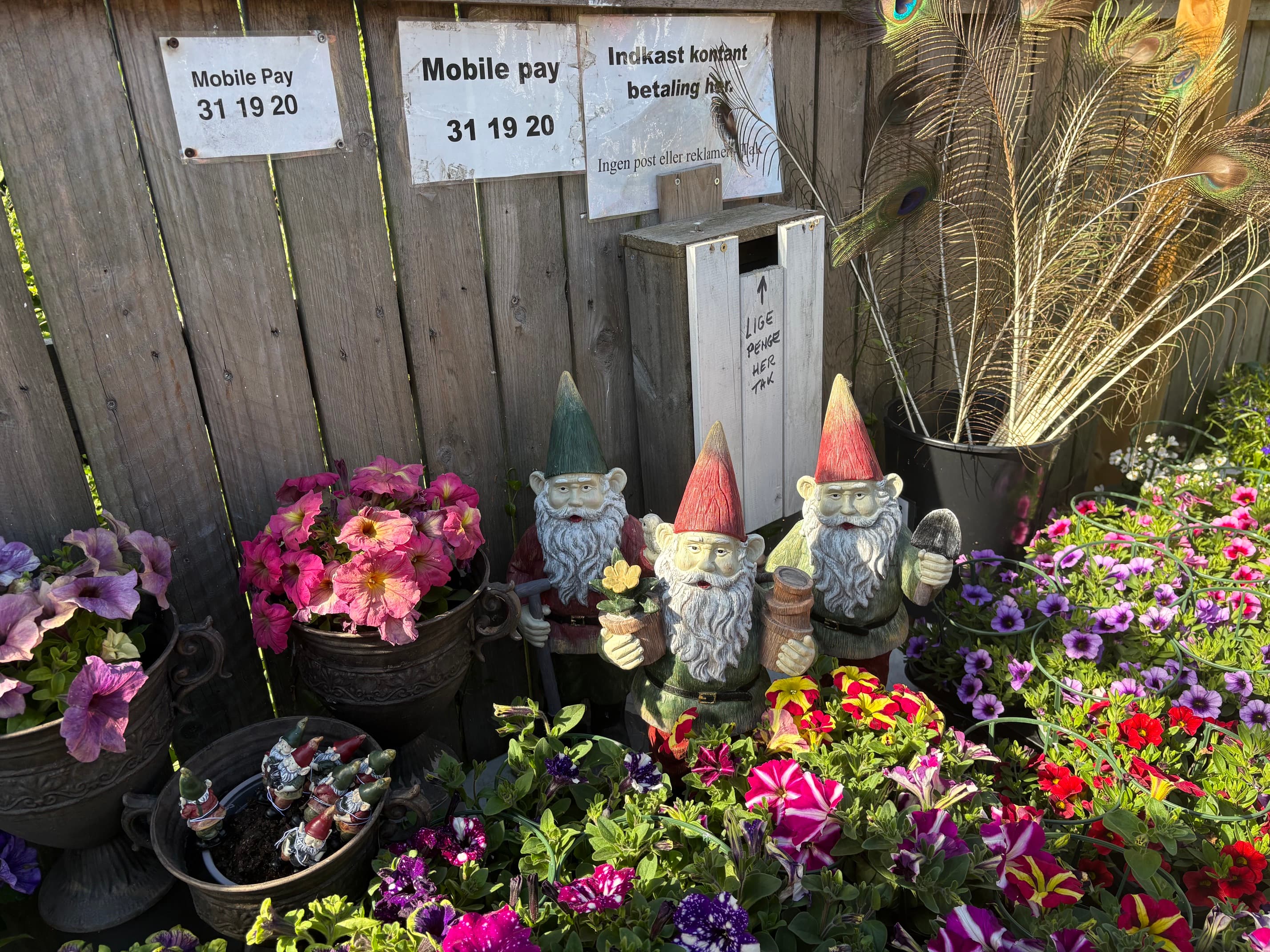 Havenisser, pjevs af blomster og Mobile Pay-skilt — selvbetjeningens charme
